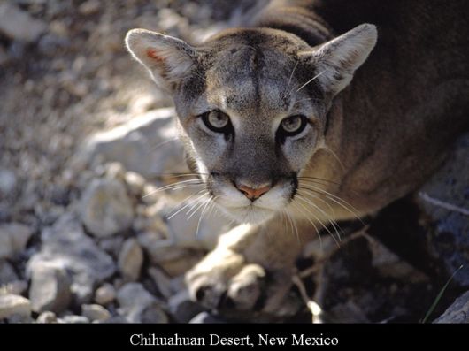 Photos of Some Places Around The World