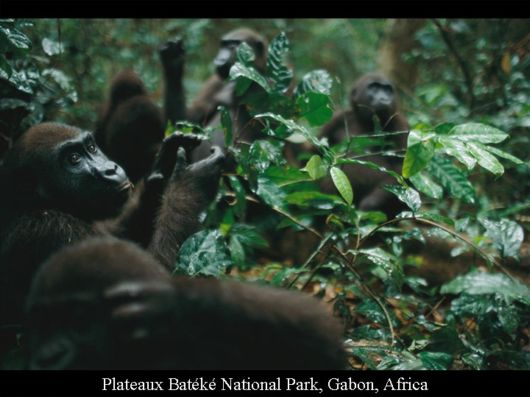 Photos of Some Places Around The World