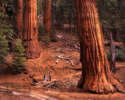 Scintillating Unique Places From Around The World