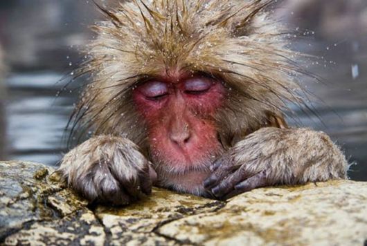 Competition For The Best Travel Picture