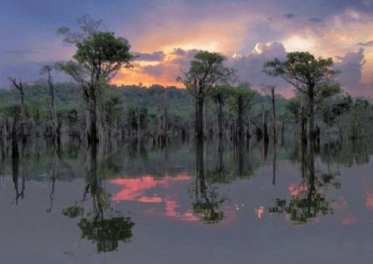 Competition For The Best Travel Picture