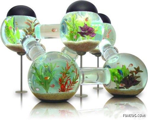 Aquariums As Interior Design Solutions