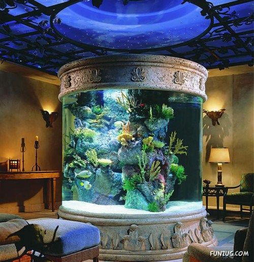 Aquariums As Interior Design Solutions