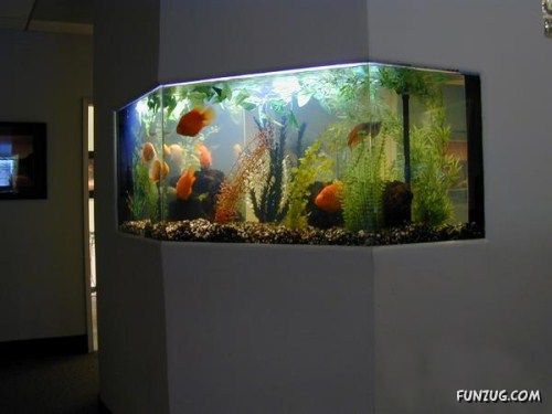 Aquariums As Interior Design Solutions