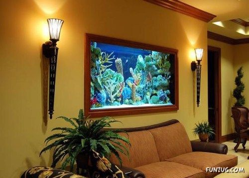 Aquariums As Interior Design Solutions