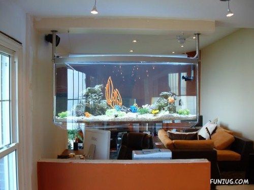 Aquariums As Interior Design Solutions