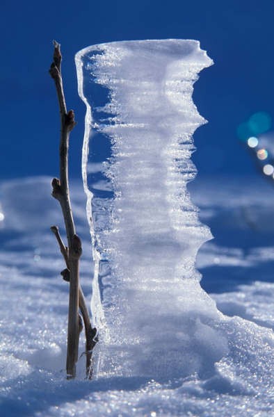 Amazing Faces on Earth -- Believe it or Not