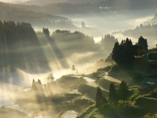 Amazing Faces on Earth -- Believe it or Not