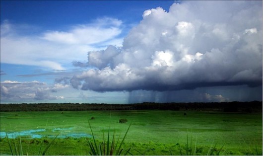 Amazing Faces on Earth -- Believe it or Not