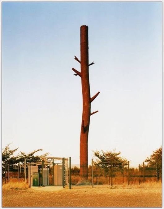 Amazing Camouflaged Cell Phone Towers