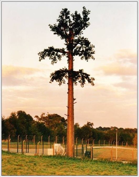 Amazing Camouflaged Cell Phone Towers