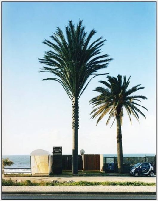 Amazing Camouflaged Cell Phone Towers