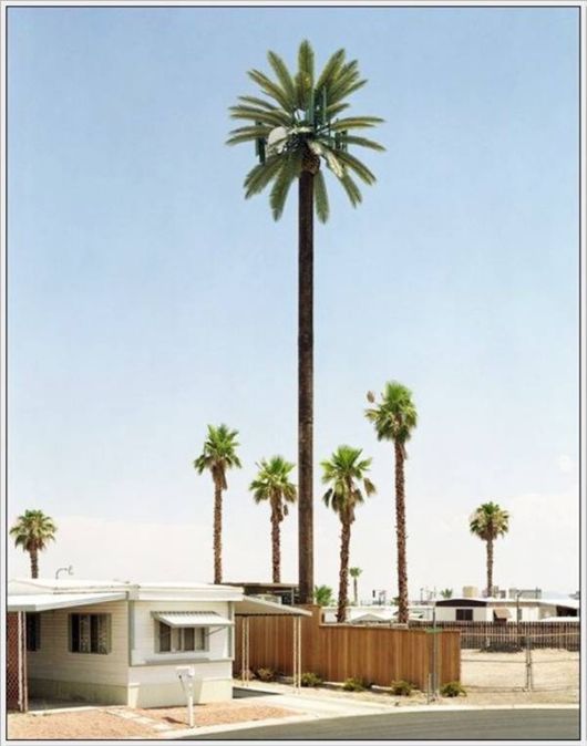 Amazing Camouflaged Cell Phone Towers