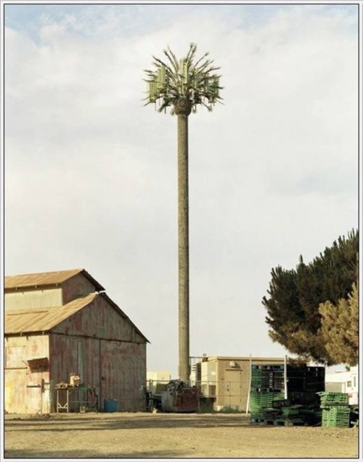 Amazing Camouflaged Cell Phone Towers