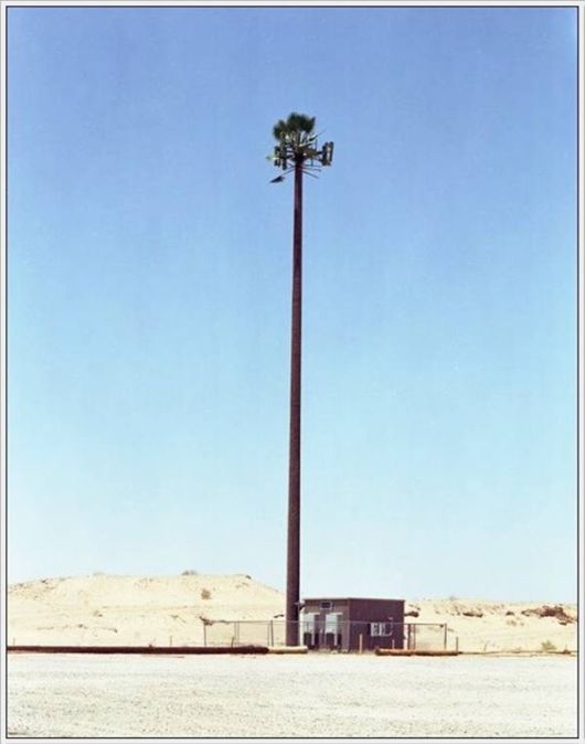 Amazing Camouflaged Cell Phone Towers