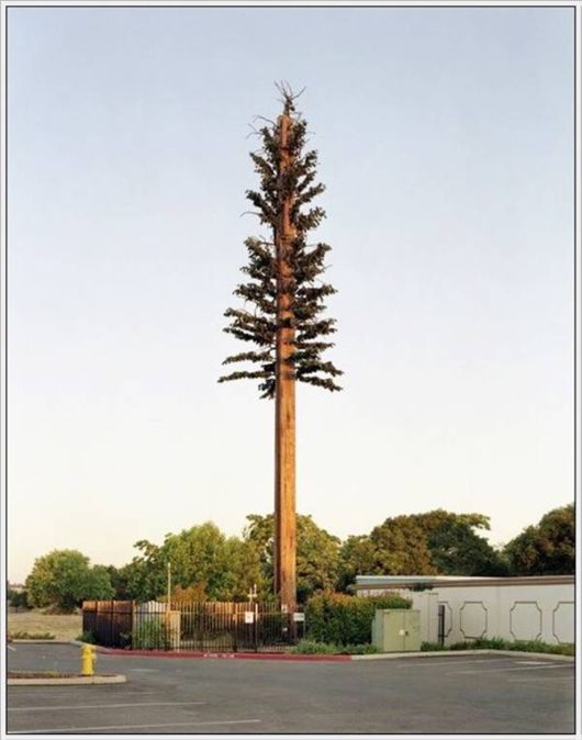 Amazing Camouflaged Cell Phone Towers