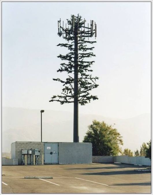 Amazing Camouflaged Cell Phone Towers