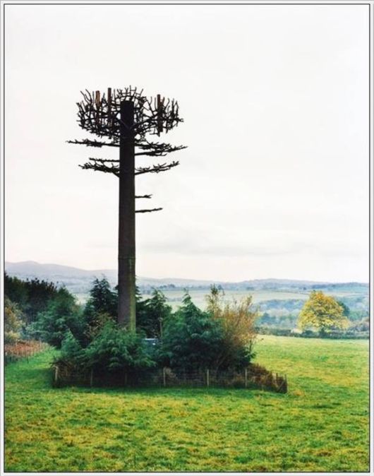 Amazing Camouflaged Cell Phone Towers