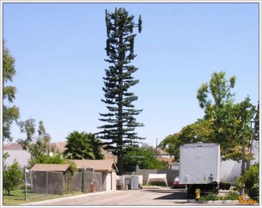 Amazing Camouflaged Cell Phone Towers