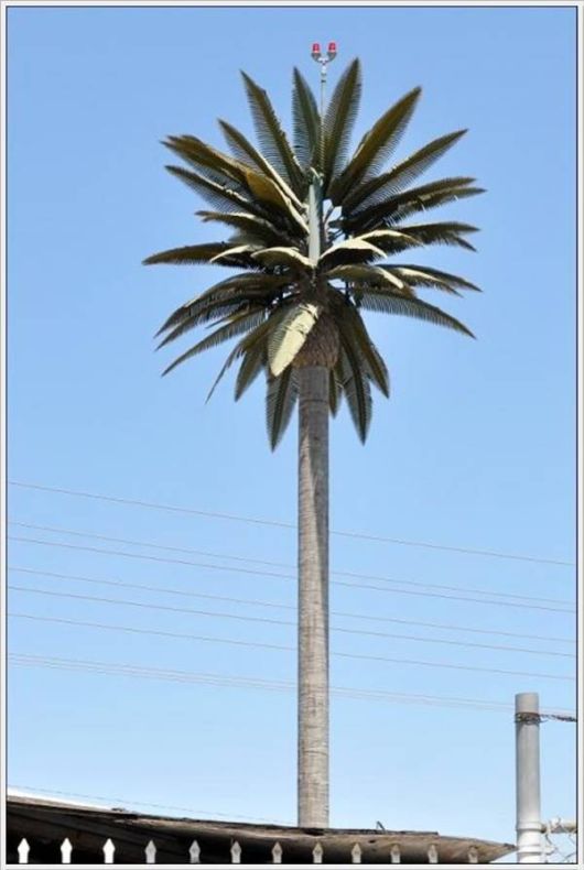 Amazing Camouflaged Cell Phone Towers