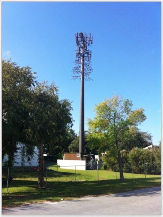 Amazing Camouflaged Cell Phone Towers