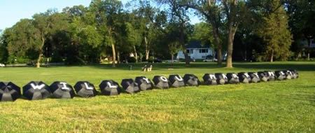 Most Extreme Wedding Proposals