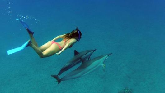 Incredible Photos Taken With A GoPro