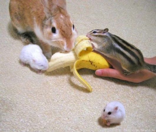 Superb Live Car Stunts