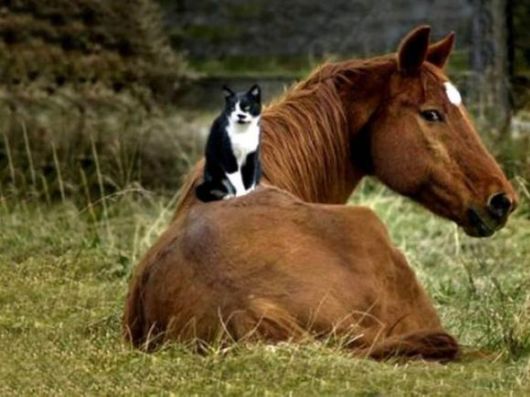 Superb Live Car Stunts