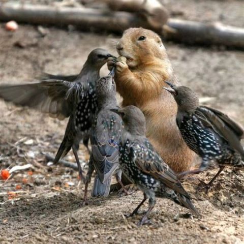 Superb Live Car Stunts