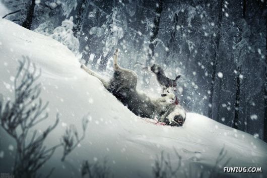 Click to Enlarge - Amazing Fantasy Wallpapers