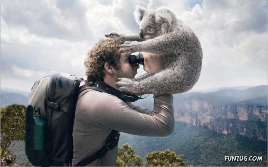 Click to Enlarge - Cool Animals Abstract Wallpapers