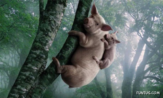 Click to Enlarge - Cool Animals Abstract Wallpapers