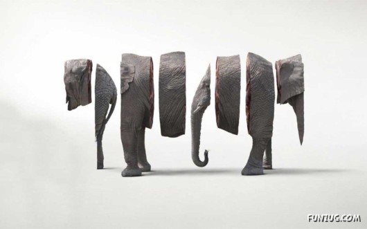 Click to Enlarge - Cool Animals Abstract Wallpapers