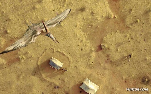 Click to Enlarge - Cool Animals Abstract Wallpapers