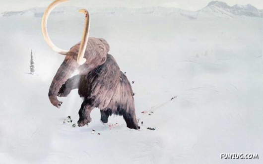 Click to Enlarge - Cool Animals Abstract Wallpapers