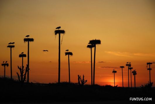 Click to Enlarge - Exciting Beauty of Sunsets