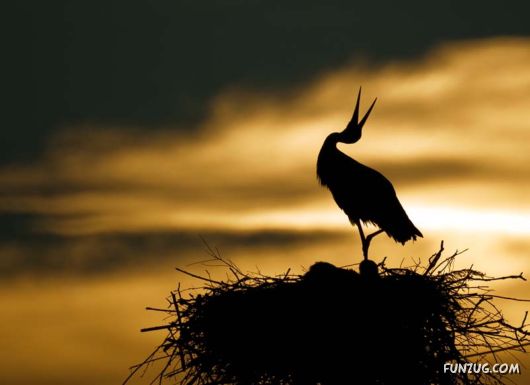 Click to Enlarge - Exciting Beauty of Sunsets