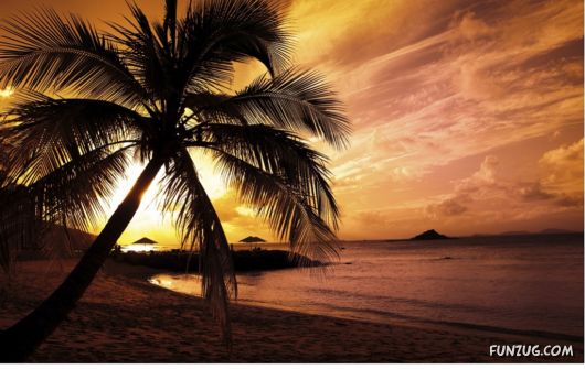 Exciting Beauty of Sunsets