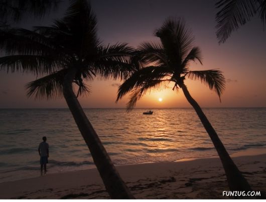 Exciting Beauty of Sunsets