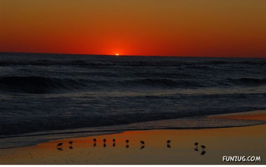 Exciting Beauty of Sunsets