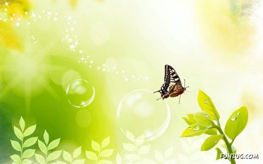 Click to Enlarge - Creative Designs Wallpapers Collection