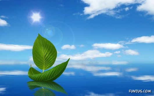 Click to Enlarge - Creative Designs Wallpapers Collection