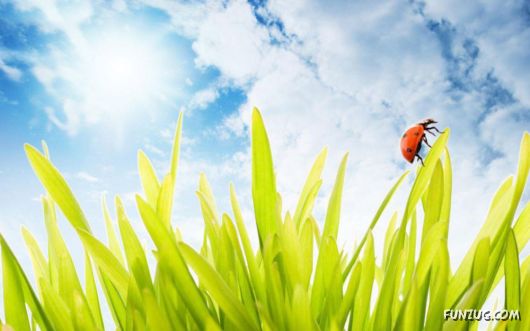 Click to Enlarge - Amazing Dreamy Wallpapers