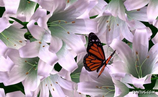 Click to Enlarge - Amazing Dreamy Wallpapers