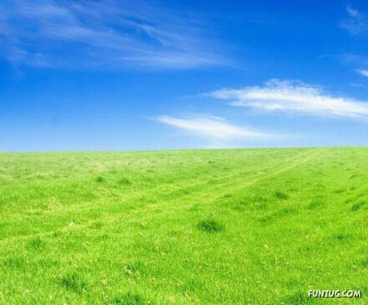 Click to Enlarge - Amazing Dreamy Wallpapers