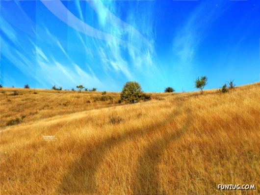 Click to Enlarge - Most Amazing Photoshopped Wallpapers