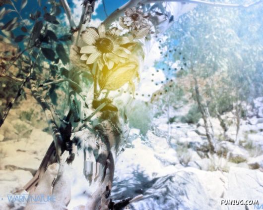 Click to Enlarge - Most Amazing Photoshopped Wallpapers