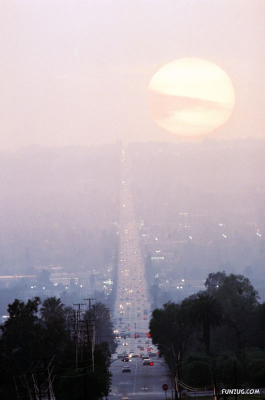 Click to Enlarge - Sun Rise and Sun Set Wals