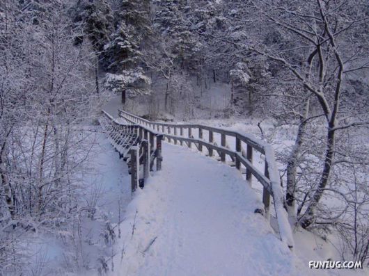 Click to Enlarge - Beautiful Winter Special Wallpapers